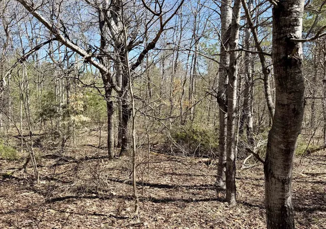 5th image of V/L Johnson Rd, Central Lake, MI 49622 | MLS# 78080067136