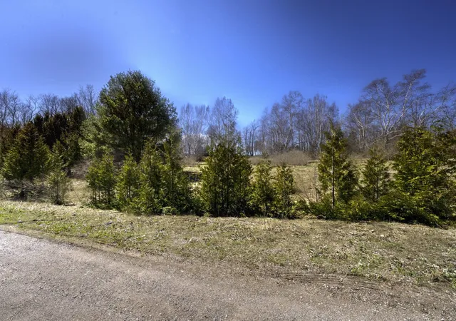 34th image of N Manitou Trl, Leland, MI 49654 | MLS# 78080067138