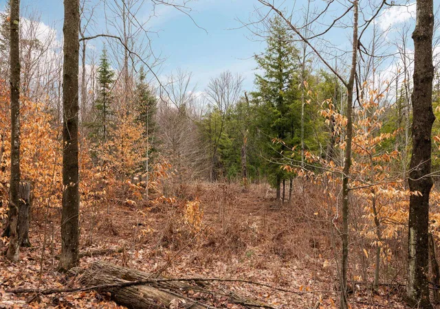 49th image of 0 Gleaner Hall Rd, Kingsley, MI 49649 | MLS# 78080067139