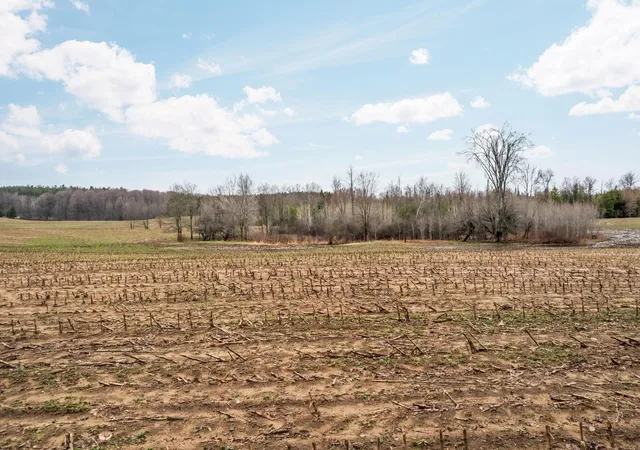4th image of 0 Gleaner Hall Rd, Kingsley, MI 49649 | MLS# 78080067139