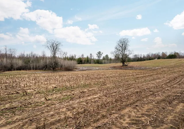 5th image of 0 Gleaner Hall Rd, Kingsley, MI 49649 | MLS# 78080067139