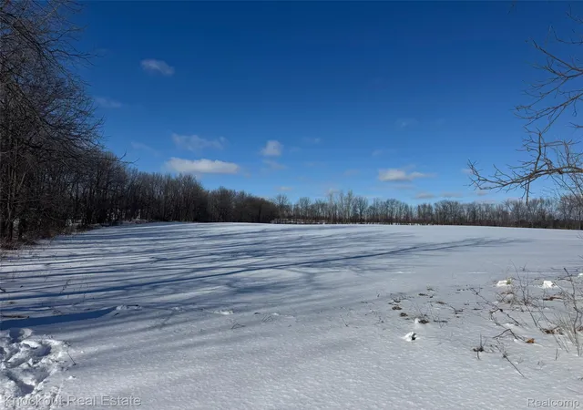 Homes for sale in Mayville, MI | Parcel B Murphy Lake Rd, Mayville, MI 48744 | MLS# 20261027039