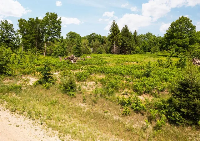 Photo 4 of Land for sale at Parcel N D Carmean Rd, Inland Township Benzie, MI 49643 | MLS# 78080067145 | Listing updated on 2026-06-29