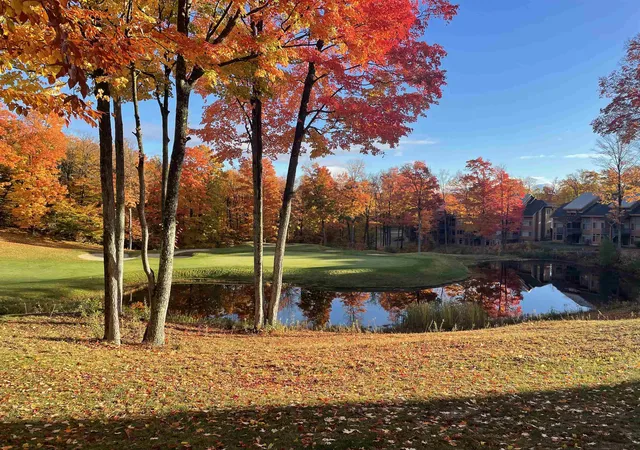 50th image of 5299 M 66, Charlevoix, MI 49720 | MLS# 78080067167
