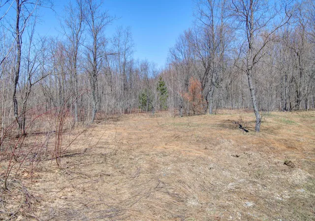 Photo 3 of Land for sale at 171 NE Kleehammer Clb Dr, Kalkaska, MI 49646 | MLS# 78080067213 | Listing updated on 2026-05-12