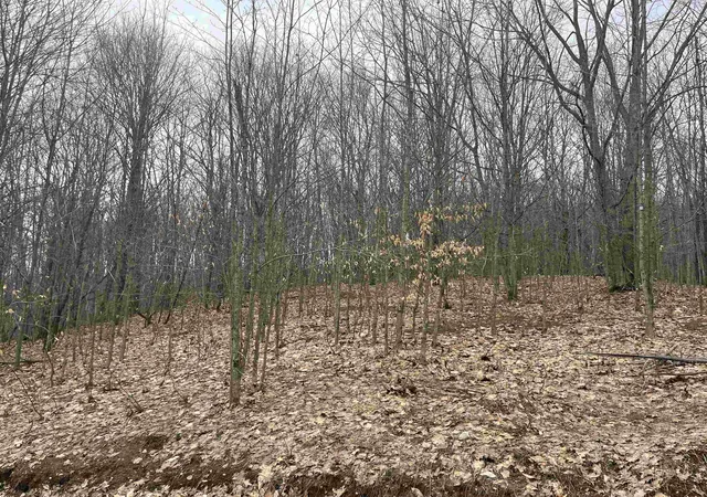 3rd image of Deerfield Trl, Boyne Falls, MI 49713 | MLS# 78080067297