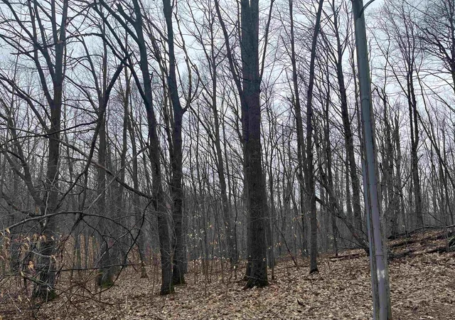 5th image of Deerfield Trl, Boyne Falls, MI 49713 | MLS# 78080067297