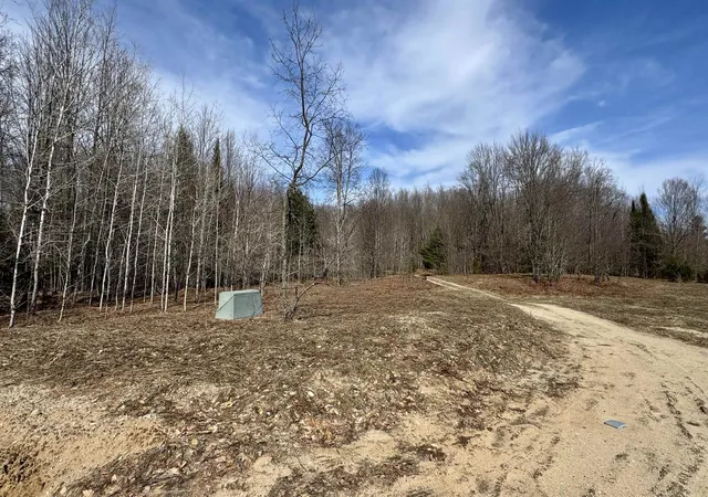 4th image of 00 N 1 Rd, Wexford Township Wexford, MI 49620 | MLS# 78080067303