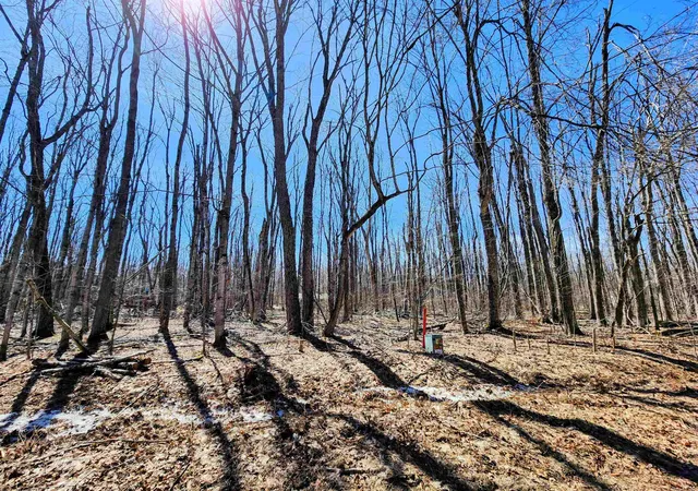 2nd image of V/l 437 Crossbow Dr, Star Township Antrim, MI 49730 | MLS# 78080067312