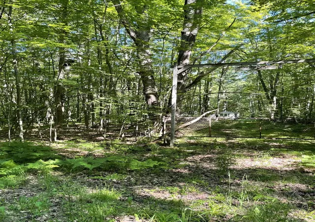1st image of 8895 Grandview Trl, Pinora Township Lake, MI 49677 | MLS# 78080067322