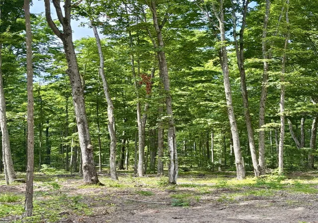Photo 3 of Land for sale at Lot Ne 6 Manistee Ridge Dr, Coldsprings Township Kalkaska, MI 49646 | MLS# 78080067331 | Listing updated on 2026-05-03
