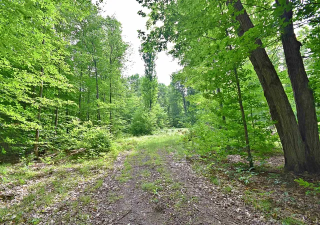 Photo 2 of Land for sale at Vl 00 Cherry Hl Rd, Fife Lake, MI 49633 | MLS# 78080067335 | Listing updated on 2026-07-04
