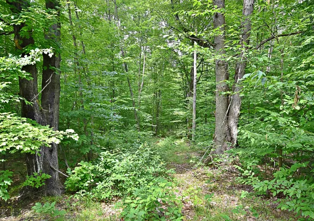 Photo 3 of Land for sale at Vl 00 Cherry Hl Rd, Fife Lake, MI 49633 | MLS# 78080067335 | Listing updated on 2026-07-04
