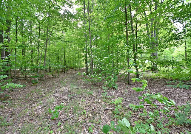 Photo 3 of Land for sale at Vl 00 Cherry Hl Rd, Fife Lake, MI 49633 | MLS# 78080067335 | Listing updated on 2026-07-04