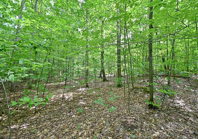Photo 4 of Land for sale at Vl 00 Cherry Hl Rd, Fife Lake, MI 49633 | MLS# 78080067335 | Listing updated on 2026-07-04