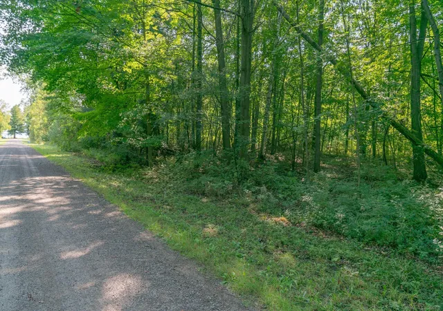 1st image of 00 Schott Rd, Harbor Beach, MI 48441 | MLS# 58050205348