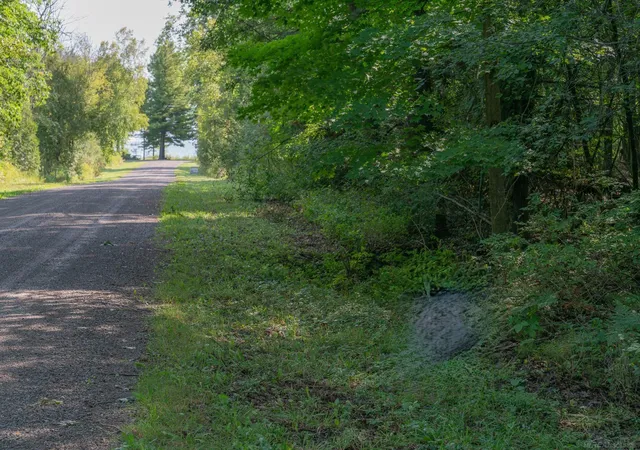 5th image of 00 Schott Rd, Harbor Beach, MI 48441 | MLS# 58050205348