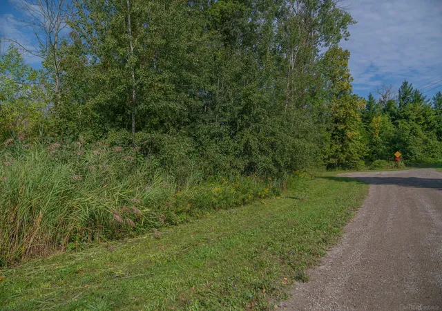 3rd image of Lakeview Dr, Harbor Beach, MI 48441 | MLS# 58050205350