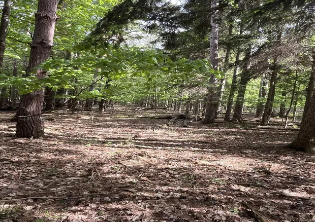 Homes for sale in Worth Township Sanilac, MI | 00 Mortimer Line Rd, Worth Township Sanilac, MI 48422 | MLS# 58050205393