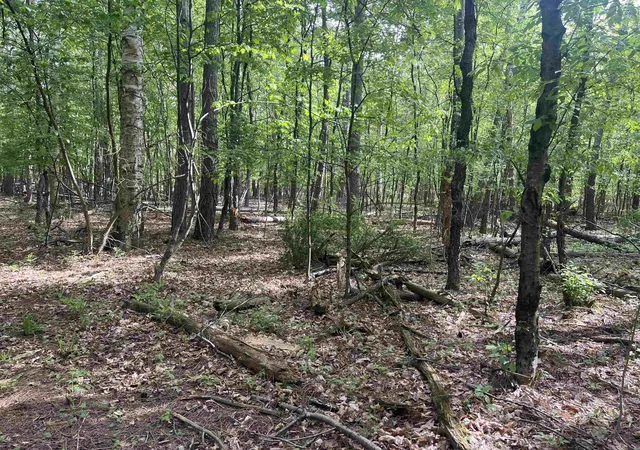 Homes for sale in Worth Township Sanilac, MI | 00 Mortimer Line Rd, Worth Township Sanilac, MI 48422 | MLS# 58050205393