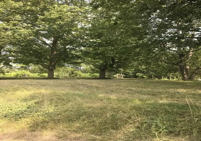 Photo 4 of Land for sale at 1170 W Tuscola Rd, Frankenmuth, MI 48734 | MLS# 61050205413 | Listing updated on 2026-08-22