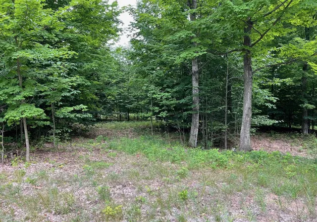 Homes for sale in Empire Township Leelanau, MI | 011 W Timber View Trl, Empire Township Leelanau, MI 49630 | MLS# 78080067414