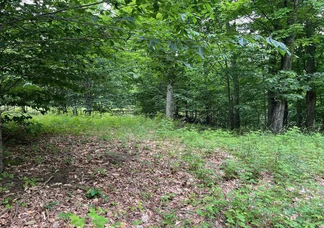 Homes for sale in Empire Township Leelanau, MI | 011 W Timber View Trl, Empire Township Leelanau, MI 49630 | MLS# 78080067414