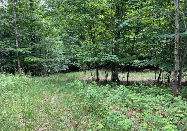 Homes for sale in Empire Township Leelanau, MI | 011 W Timber View Trl, Empire Township Leelanau, MI 49630 | MLS# 78080067414