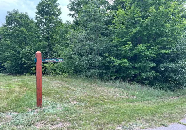 Homes for sale in Empire Township Leelanau, MI | 011 W Timber View Trl, Empire Township Leelanau, MI 49630 | MLS# 78080067414