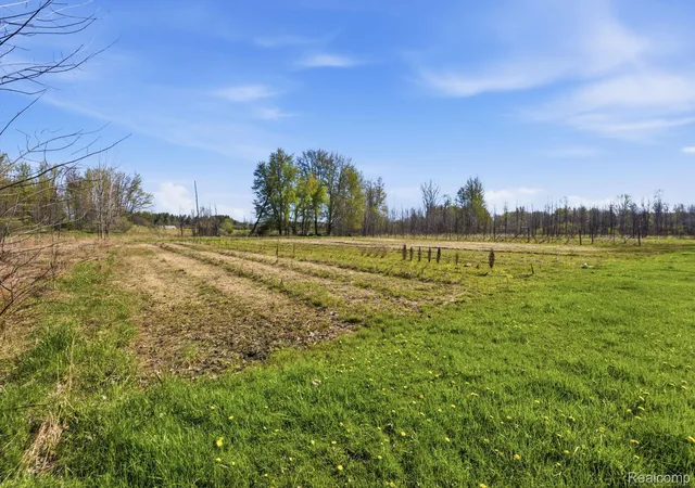 Homes for sale in Caro, MI | 2905 S Plain Rd, Caro, MI 48723 | MLS# 20261029153