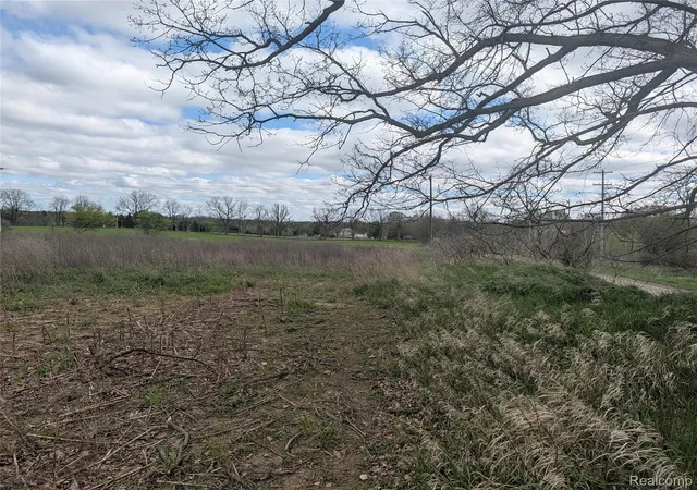 Photo 3 of Land for sale at Parcel E Hogan Rd, Fenton, MI 48430 | MLS# 20261029162 | Listing updated on 2026-09-28