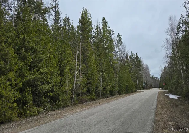 Photo 2 of Land for sale at Vl Lot 332 Balsam Dr, Presque Isle, MI 49777 | MLS# 20261029286 | Listing updated on 2026-07-28