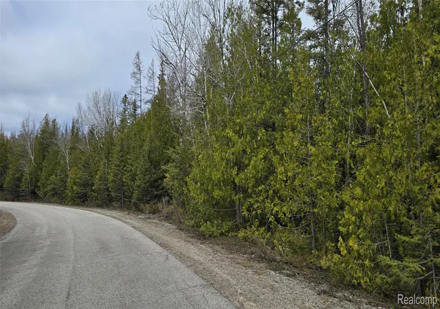 Photo 3 of Land for sale at Vl Lot 332 Balsam Dr, Presque Isle, MI 49777 | MLS# 20261029286 | Listing updated on 2026-07-28