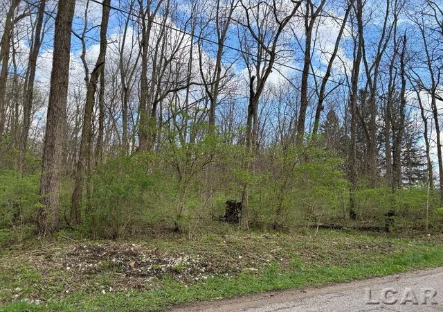 1st image of 0 Black Hwy, Adrian, MI 49221 | MLS# 56050205686