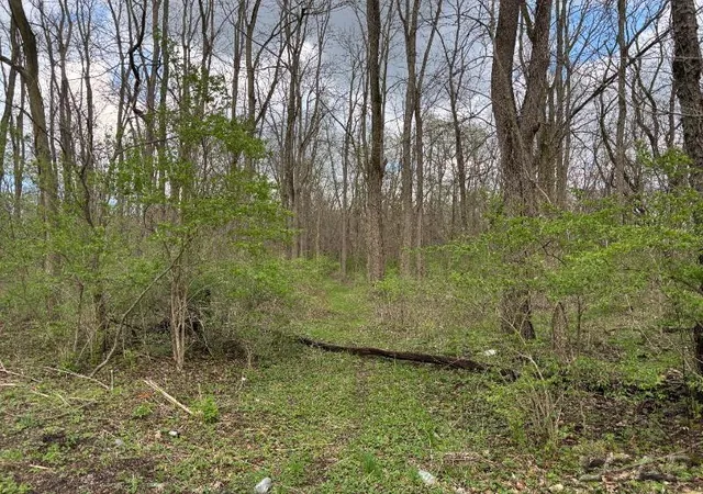 2nd image of 0 Black Hwy, Adrian, MI 49221 | MLS# 56050205686
