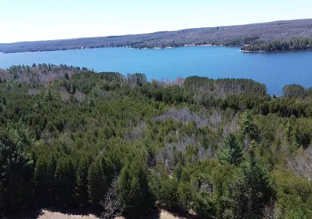 Photo 3 of Land for sale at 00 Ridge Rd, East Jordan, MI 49727 | MLS# 78080067466 | Listing updated on 2026-06-04
