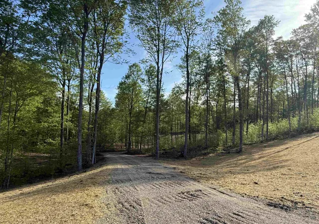 Photo 4 of Land for sale at 1453 E Solaris Way, Maple City, MI 49664 | MLS# 78080067478 | Listing updated on 2026-06-27