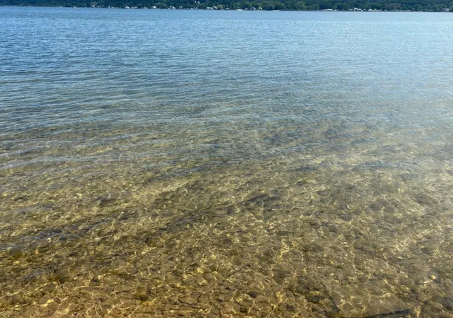 38th image of 4472 Crescent Beach Rd, Onekama, MI 49675 | MLS# 67026018590