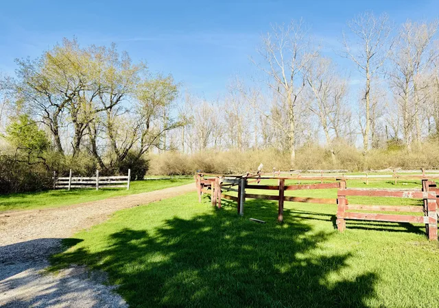 2nd image of 1525 S Poplar Rd, Custer, MI 49405 | MLS# 67026018682