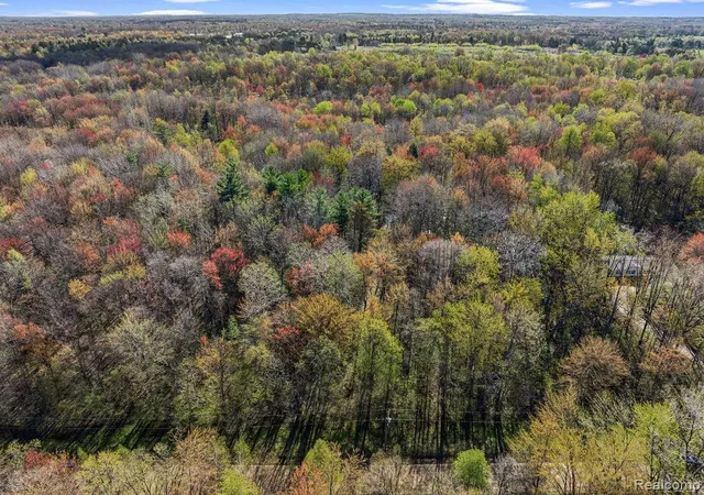 Photo 3 of Land for sale at 6799 Maplegrove Rd, Vassar, MI 48768 | MLS# 20261029901 | Listing updated on 2026-07-06