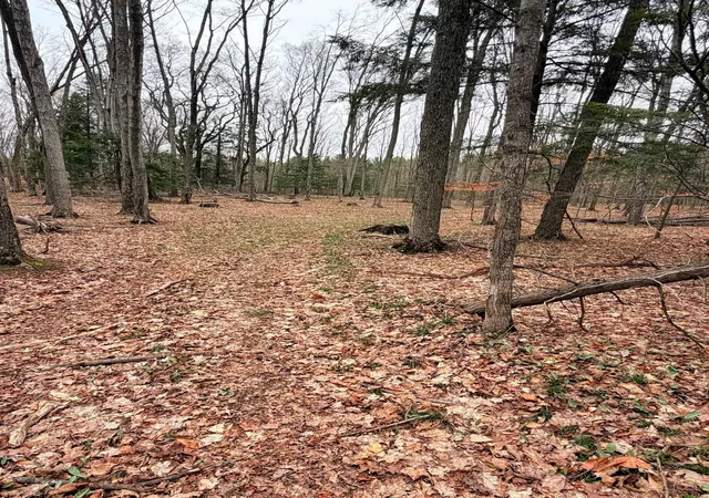 5th image of 03 Woodland Trl, Traverse City, MI 49684 | MLS# 78080067539