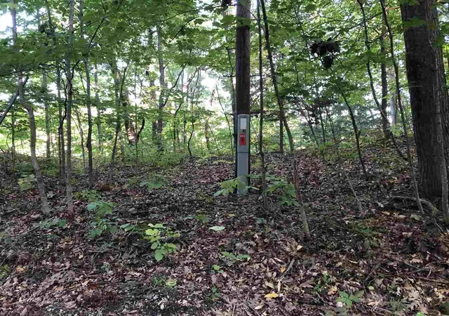 Homes for sale in Frankfort, MI | Lot 122 Crystal Downs Dr, Frankfort, MI 49635 | MLS# 78080067551