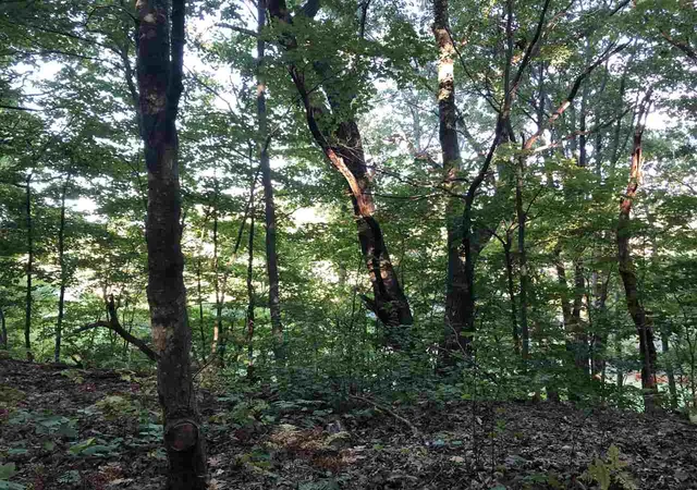 Homes for sale in Frankfort, MI | Lot 122 Crystal Downs Dr, Frankfort, MI 49635 | MLS# 78080067551
