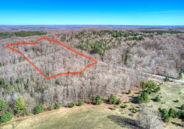 1st image of Parcel C Honey Hollow Rd, Forest Home Township Antrim, MI 49615 | MLS# 78080067554