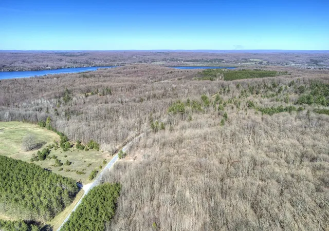 2nd image of Parcel C Honey Hollow Rd, Forest Home Township Antrim, MI 49615 | MLS# 78080067554