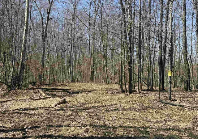 Photo 3 of Land for sale at Parcel C Honey Holw Rd, Forest Home Township Antrim, MI 49615 | MLS# 78080067554 | Listing updated on 2026-06-15