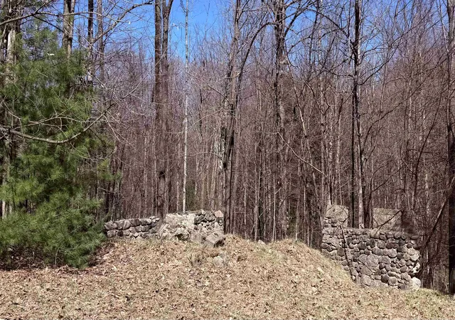 Photo 3 of Land for sale at Parcel C Honey Holw Rd, Forest Home Township Antrim, MI 49615 | MLS# 78080067554 | Listing updated on 2026-06-15