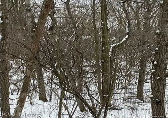 Photo 3 of Land for sale at 1135 N Baldwin Rd, Brandon Charter Township Oakland, MI 48371 | MLS# 20261030114 | Listing updated on 2026-07-06