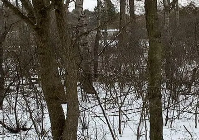 Photo 3 of Land for sale at 1135 N Baldwin Rd, Brandon Charter Township Oakland, MI 48371 | MLS# 20261030114 | Listing updated on 2026-07-06
