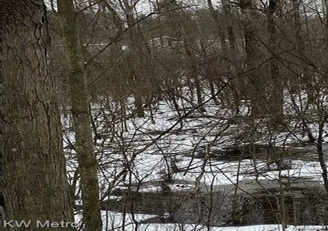 Photo 4 of Land for sale at 1135 N Baldwin Rd, Brandon Charter Township Oakland, MI 48371 | MLS# 20261030114 | Listing updated on 2026-07-06